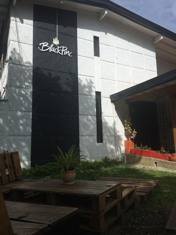 Blackpine Hostel Медельїн Екстер'єр фото