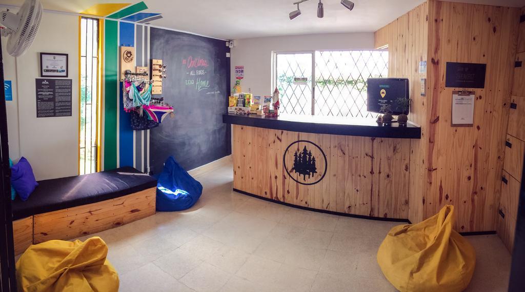 Blackpine Hostel Медельїн Екстер'єр фото