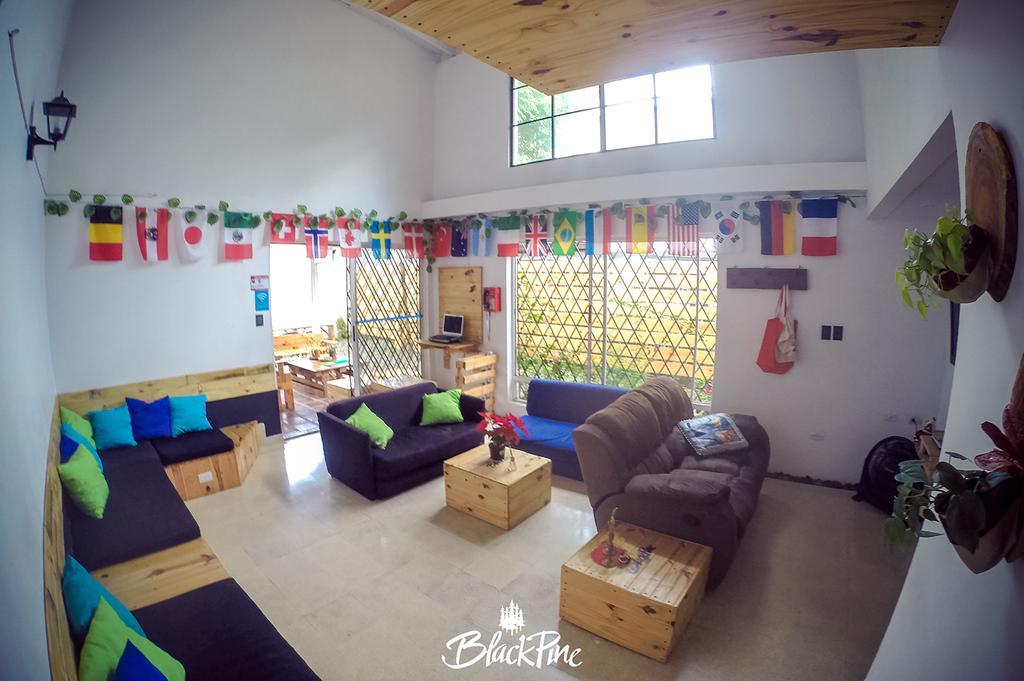 Blackpine Hostel Медельїн Екстер'єр фото