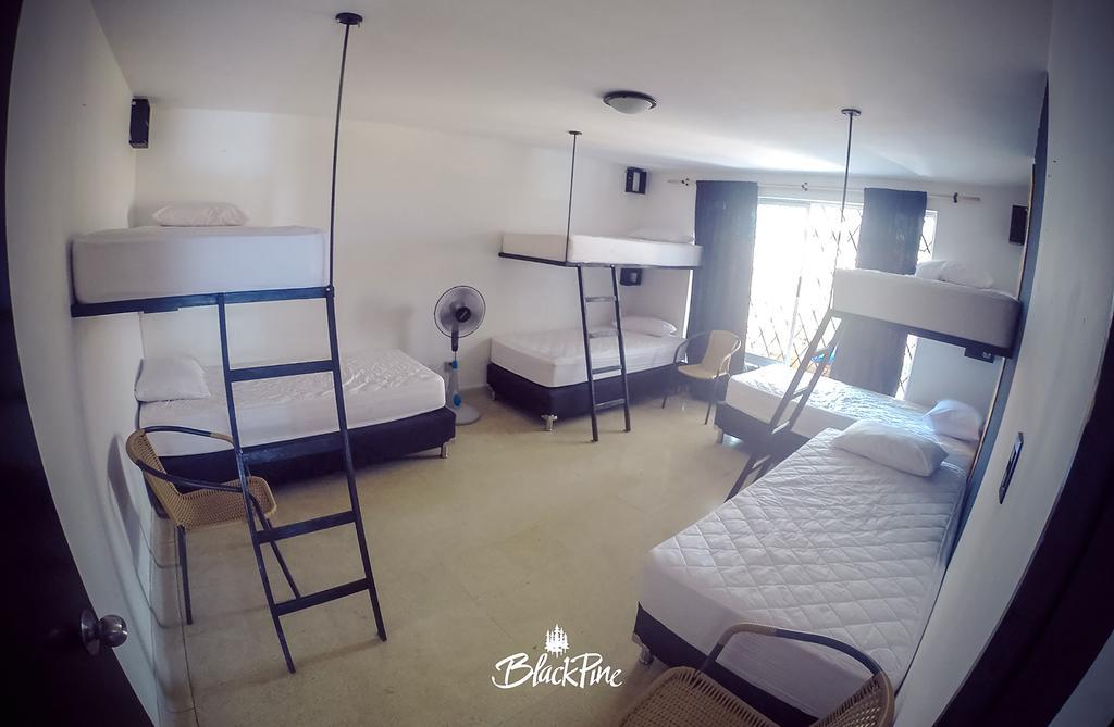 Blackpine Hostel Медельїн Екстер'єр фото