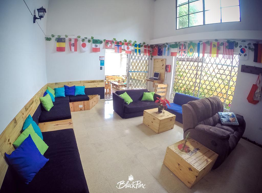 Blackpine Hostel Медельїн Екстер'єр фото