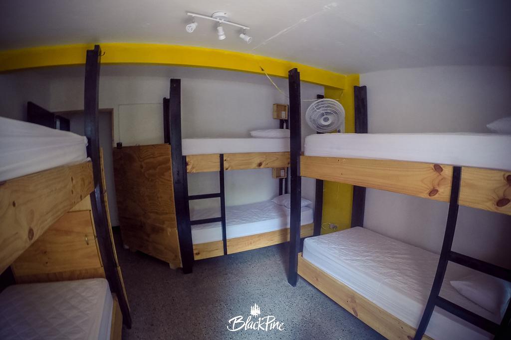 Blackpine Hostel Медельїн Екстер'єр фото