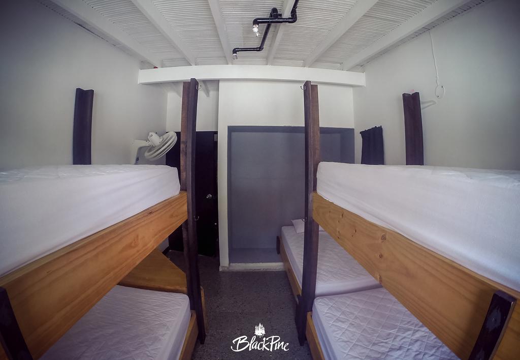 Blackpine Hostel Медельїн Екстер'єр фото