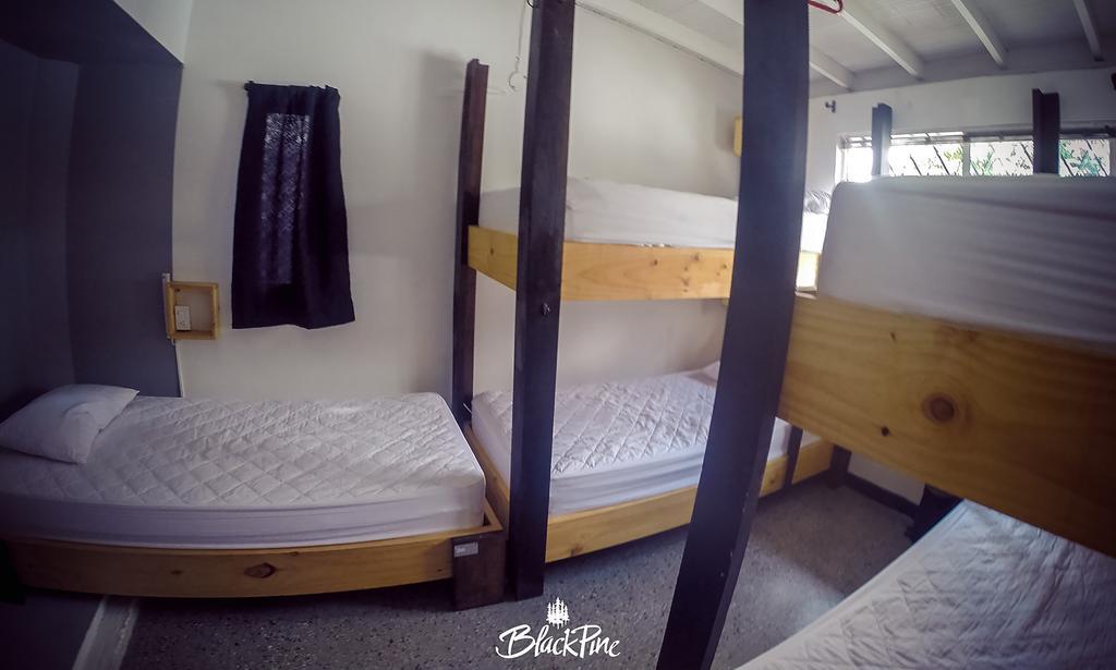Blackpine Hostel Медельїн Екстер'єр фото