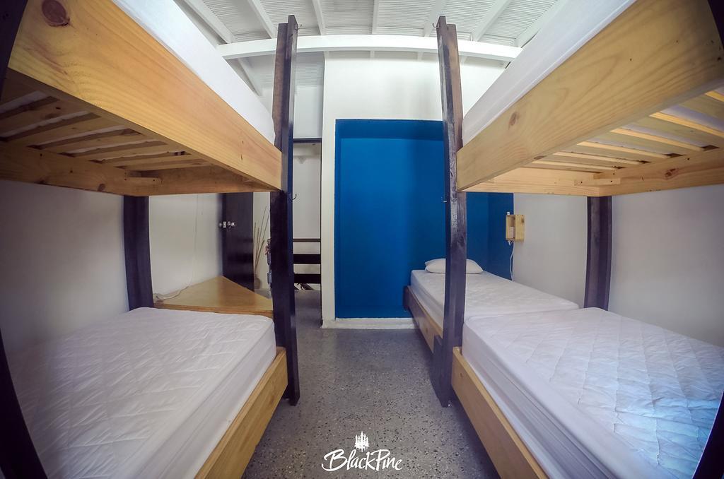 Blackpine Hostel Медельїн Екстер'єр фото
